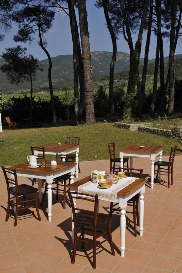 Villa Il Maggese Cortona Esterno foto